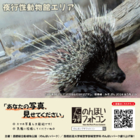 夜行性動物館エリア（2024年6月掲示）