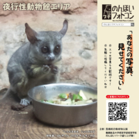 夜行性動物館エリア（2024年7月掲示）