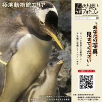 極地動物館エリア（2024年7月掲示）