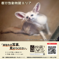 夜行性動物館エリア（2024年10月掲示）