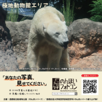 極地動物館エリア（2024年10月掲示）