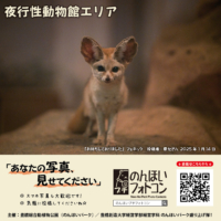 夜行性動物館エリア（2025年2月掲示）