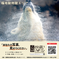 極地動物館エリア（2025年2月掲示）