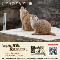 アフリカエリア・東（2025年6月掲示）