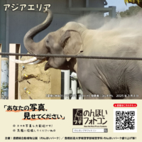 アジアエリア（2025年6月掲示）
