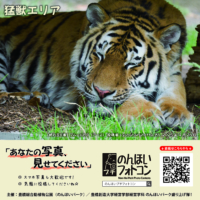 33_beast_202506r