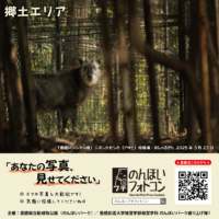 郷土エリア（2025年6月掲示）