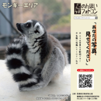 モンキーエリア（2025年6月掲示）