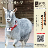 なかよし牧場エリア（2025年6月掲示）