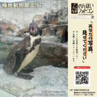 極地動物館エリア（2025年6月掲示）