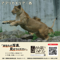 アフリカエリア・西（2025年7月掲示）