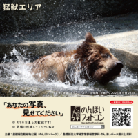 猛獣エリア（2025年7月掲示）