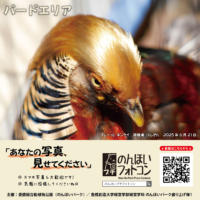 バードエリア（2025年7月掲示）