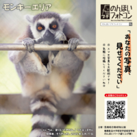 モンキーエリア（2025年7月掲示）