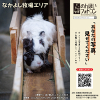 なかよし牧場エリア（2025年7月掲示）