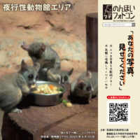 夜行性動物館エリア（2025年7月掲示）