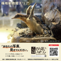 極地動物館エリア（2025年7月掲示）