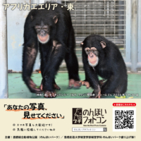 35_africa-e_202508