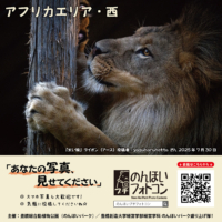 アフリカエリア・西（2025年8月掲示）
