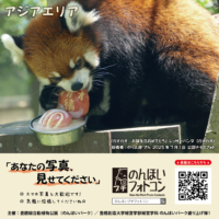 アジアエリア（2025年8月掲示）