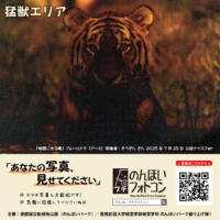 猛獣エリア（2025年8月掲示）