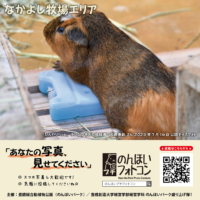 35_nakayoshi_202508