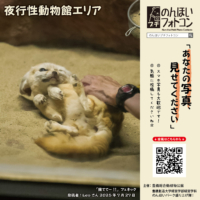 夜行性動物館エリア（2025年8月掲示）