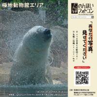 極地動物館エリア（2025年8月掲示）