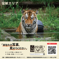36_beast_202509