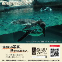 36_polar_202509