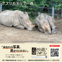 アフリカエリア・西（2025年10月掲示）
