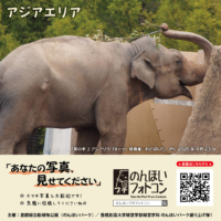 アジアエリア（2025年10月掲示）