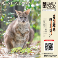 オーストラリアエリア（2025年10月掲示）