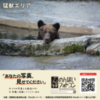 猛獣エリア（2025年10月掲示）
