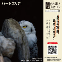 バードエリア（2025年10月掲示）
