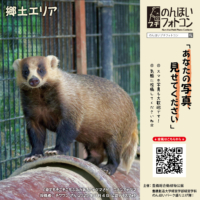 郷土エリア（2025年10月掲示）