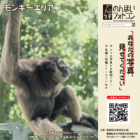 モンキーエリア（2025年10月掲示）