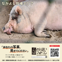 なかよし牧場エリア（2025年10月掲示）