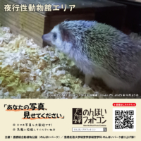 夜行性動物館エリア（2025年10月掲示）