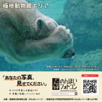 極地動物館エリア（2025年10月掲示）