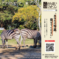 アフリカエリア・東(2025年12月掲示)