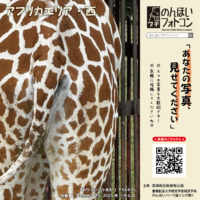 アフリカエリア・西(2025年12月掲示)