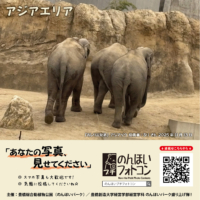 アジアエリア(2025年12月掲示)