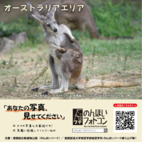 オーストラリアエリア(2025年12月掲示)