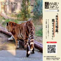 猛獣エリア(2025年12月掲示)