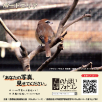 バードエリア(2025年12月掲示)