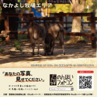 なかよし牧場エリア(2025年12月掲示)