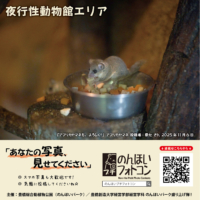 夜行性動物館エリア(2025年12月掲示)