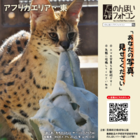 アフリカエリア・東(2026年1月掲示)