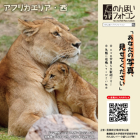 アフリカエリア・西(2026年1月掲示)